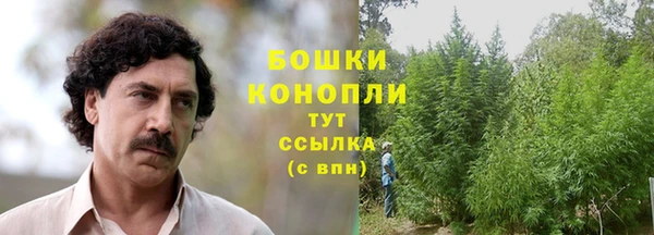 a pvp Белокуриха
