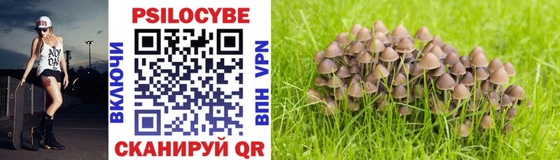Псилоцибиновые грибы Psilocybine cubensis  цена наркотик  Салаир 